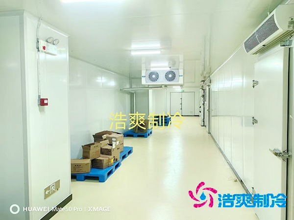 荔枝冷庫安裝價(jià)格多少錢一平方米？荔枝冷庫可以放多久-浩爽制冷
