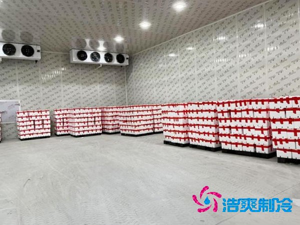 芭樂果保鮮冷庫安裝造價多少錢？芭樂果在冷庫能放多久？-浩爽制冷