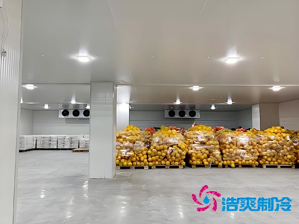 建一個蔬菜冷庫造價需要多少錢？-浩爽制冷