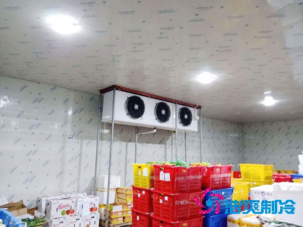 建一個蔬菜冷庫造價需要多少錢？-浩爽制冷